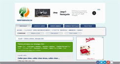 Desktop Screenshot of 1000patteservices.com